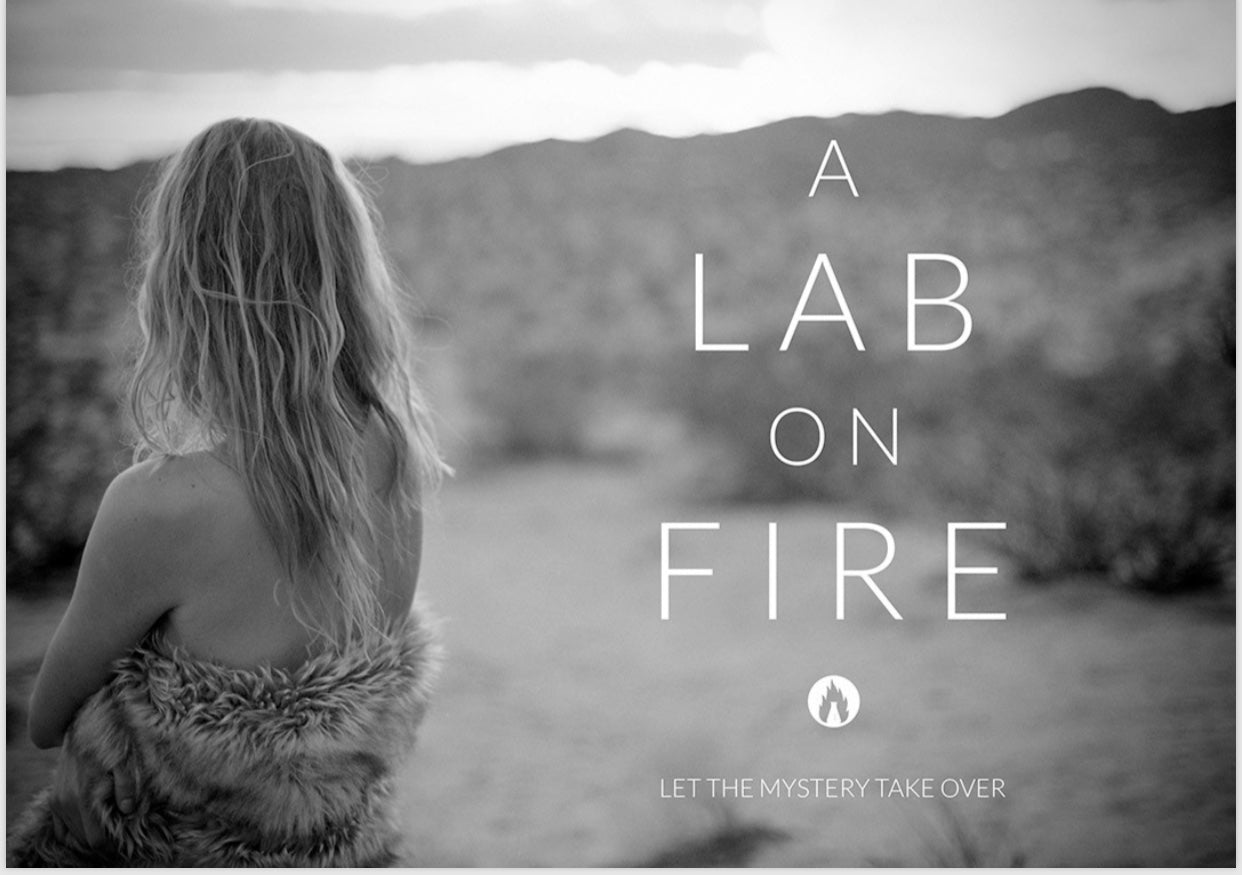 A Lab On Fire