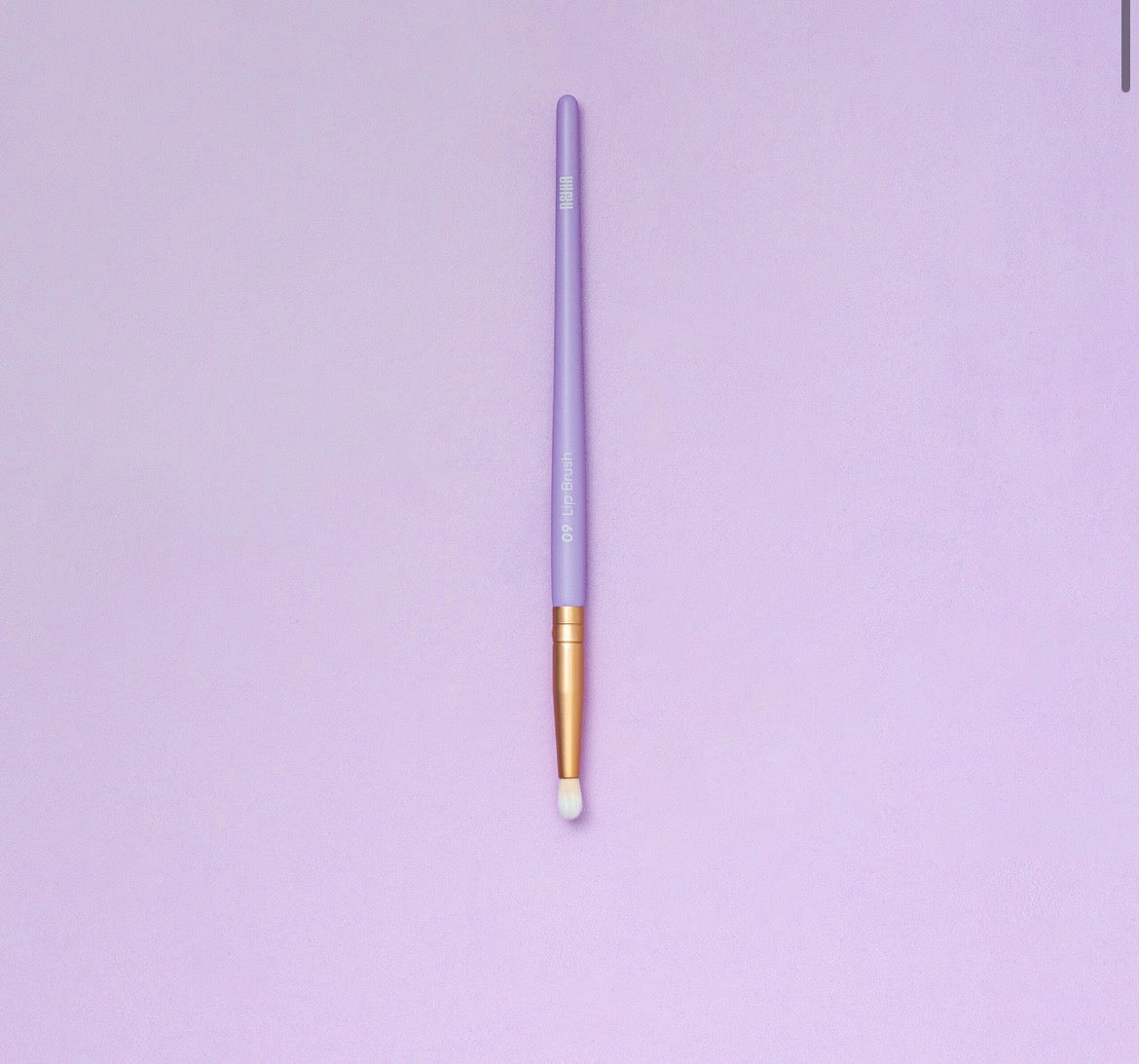 09 Lip Brush – Pennello Labbra
