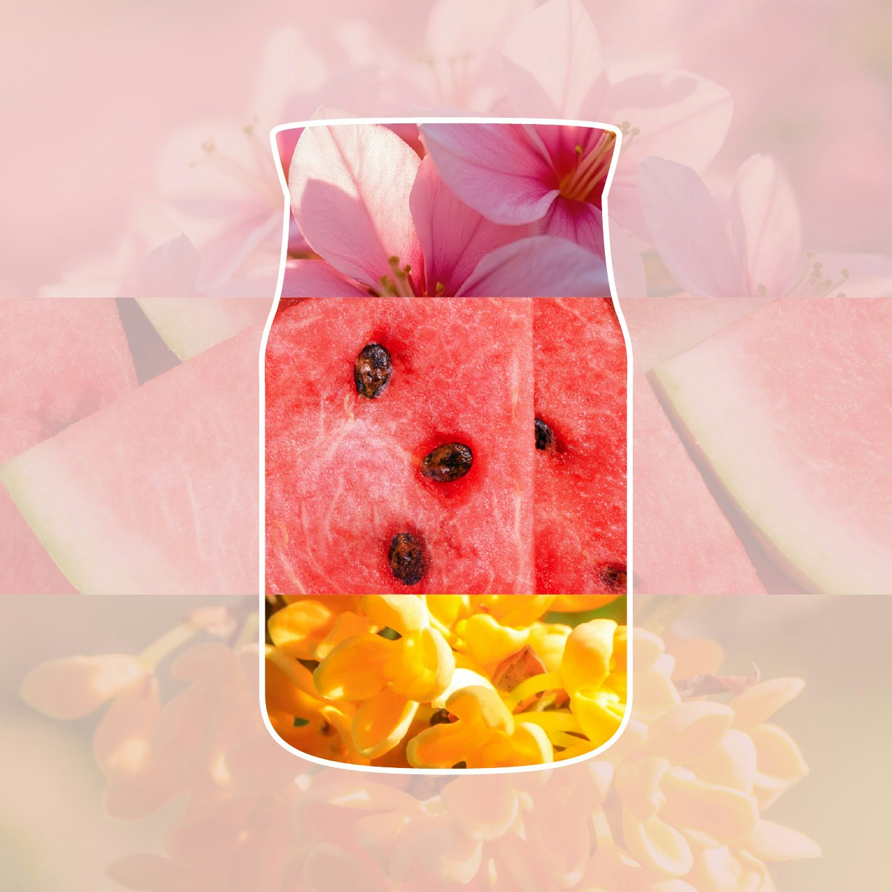 Rirarica per diffusore Pink Sands