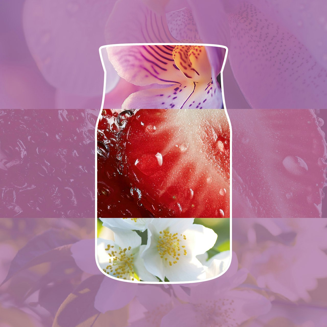 Rirarica per diffusore Wild Orchid