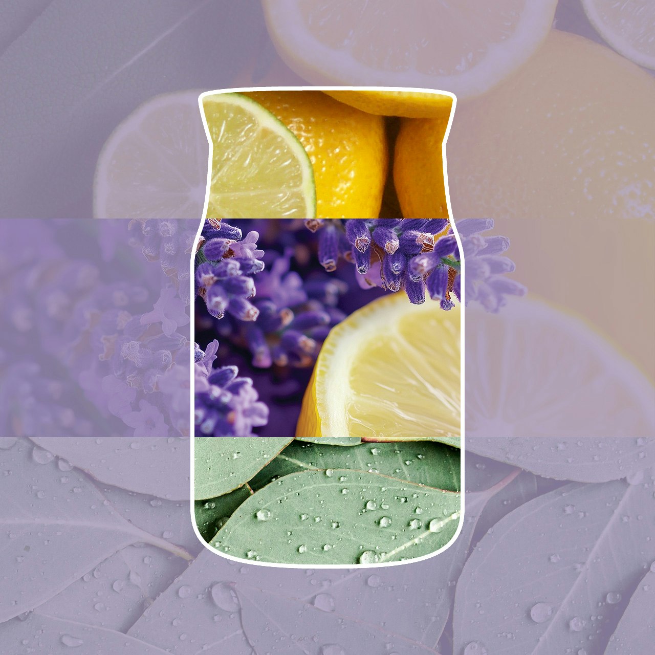 Profumatore auto Lemon Lavender