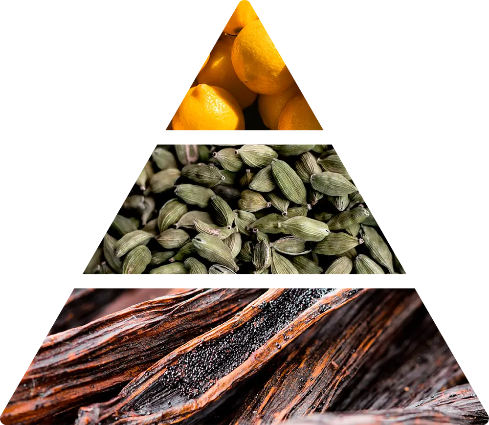 Etrusco Antico Fragranza D’ambiente Logevy