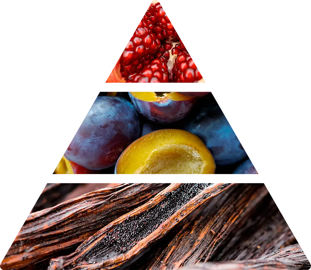 Elisir di Melagrana Fragranza D’ambiente