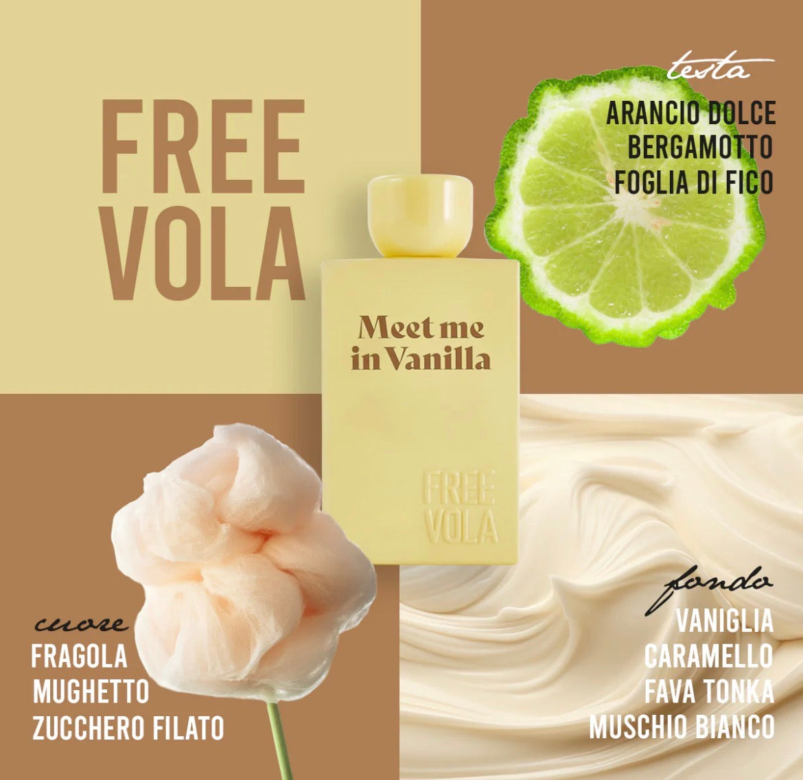 FREEVOLA | MEET ME IN VANILLA