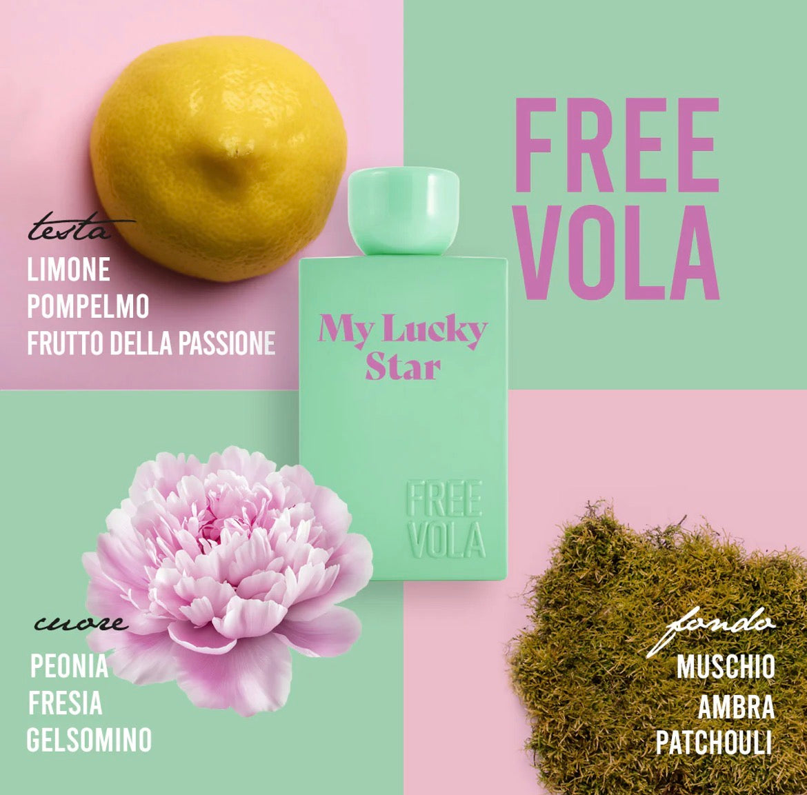 FREEVOLA | MY LUCKY STAR