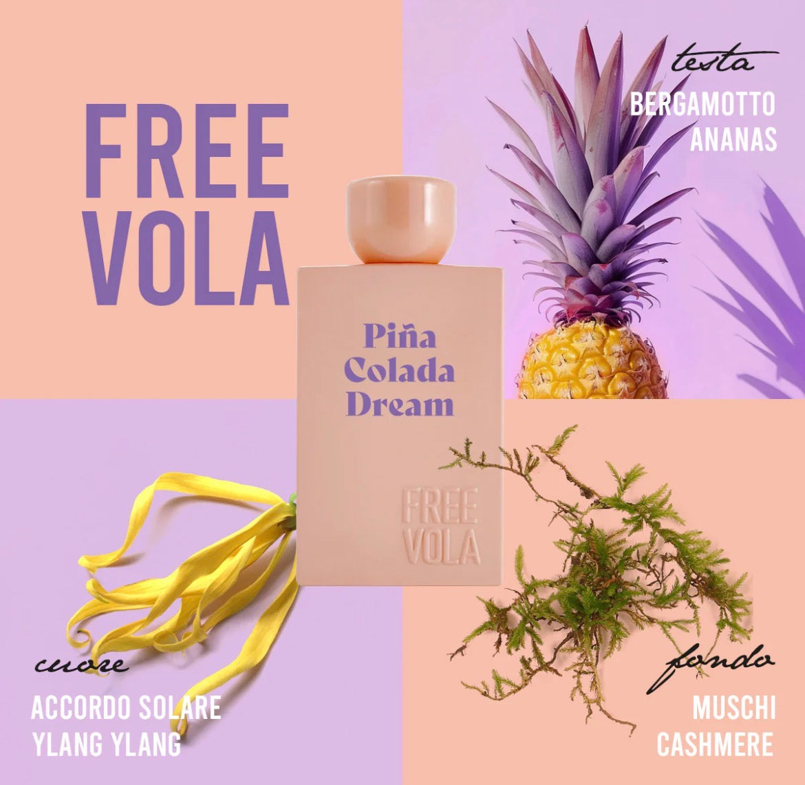 FREEVOLA | PIÑA COLADA DREAM