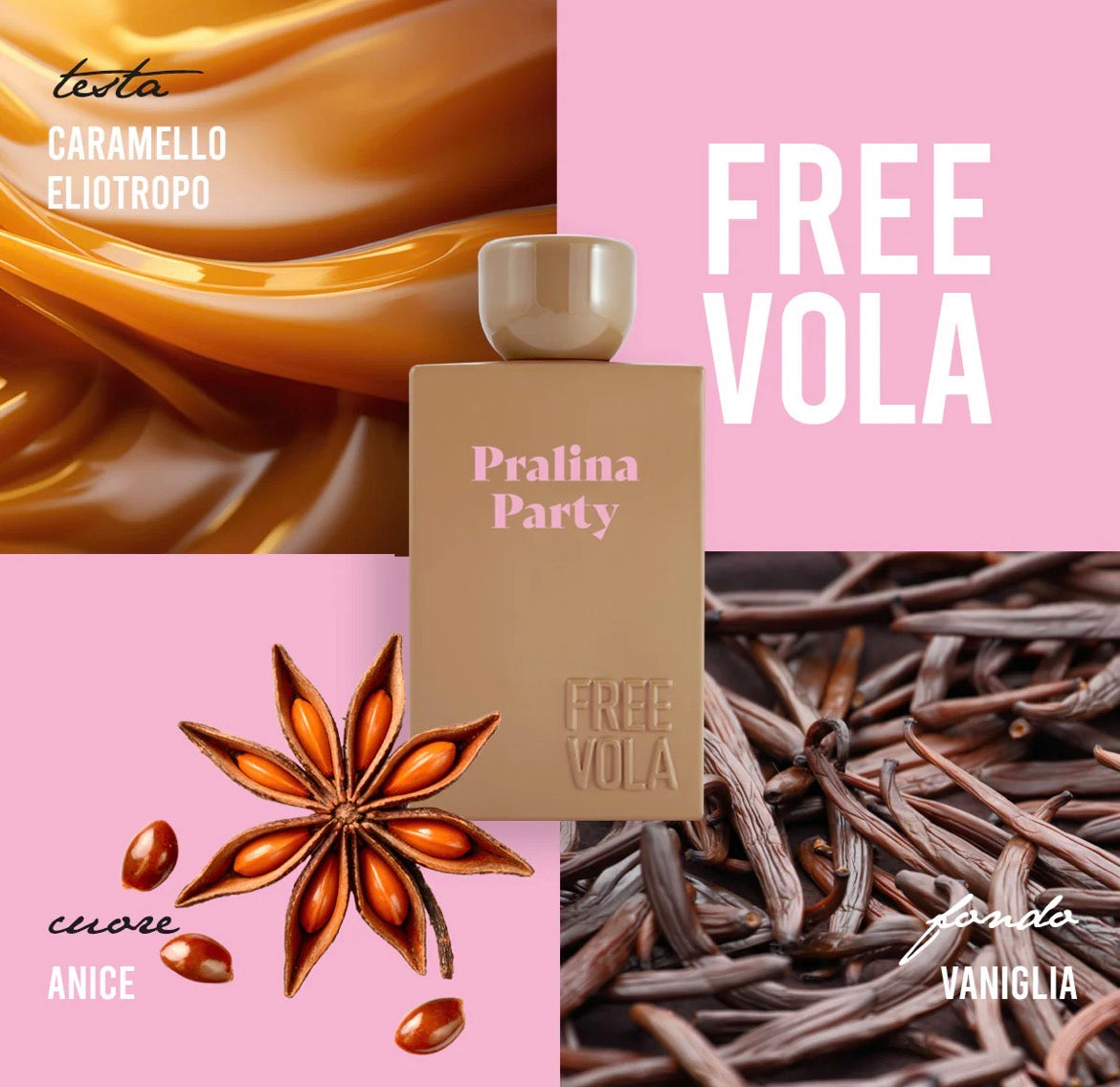 FREEVOLA | PRALINA PARTY